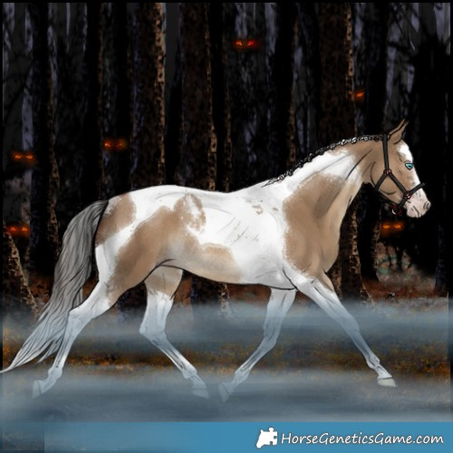 Horse Color:Gray Classic Champagne Dun Splash Tobiano Rabicano
