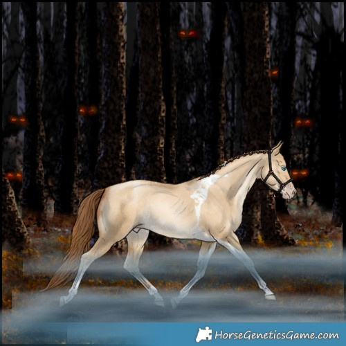 Horse Color:Gray Amber Champagne Snowdrop Pearl Dun Tobiano Rabicano 