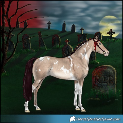 Horse Color:White Spotted Sable Champagne Dun Tobiano Appaloosa Rabicano