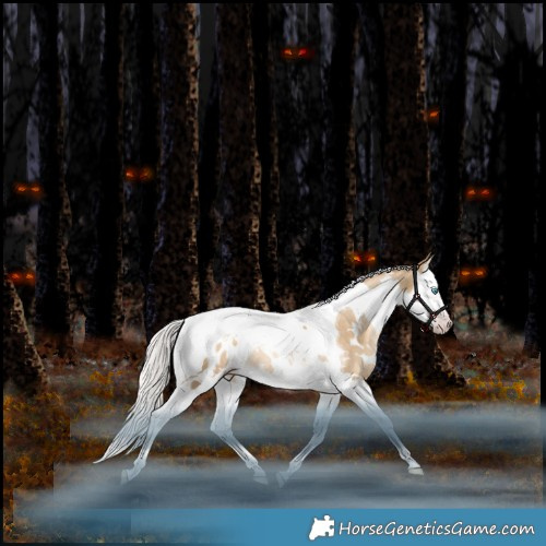 Horse Color:Gray White Spotted Silver Amber Champagne Snowdrop Pearl Splash Tobiano Appaloosa Rabicano 