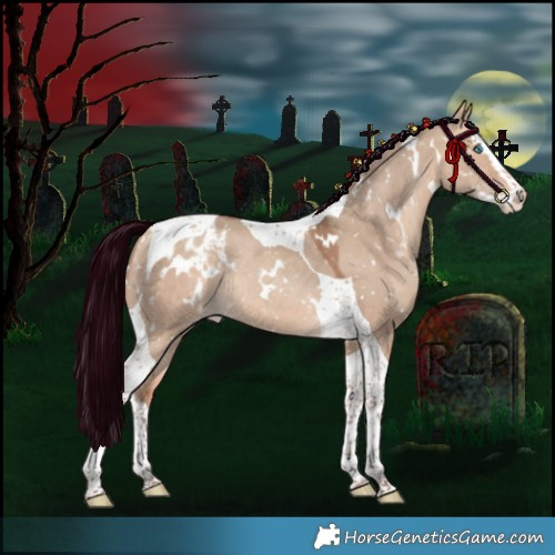 Horse Color:White Spotted Amber Champagne Dun Splash Tobiano Appaloosa Rabicano 