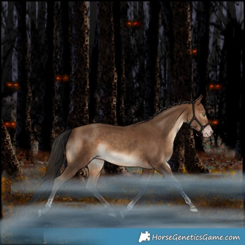 Horse Color:Gray Amber Champagne Tobiano Rabicano