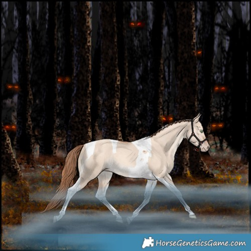 Horse Color:Gold Champagne Dun Tobiano Rabicano