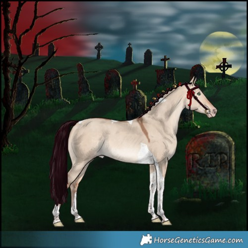 Horse Color:Amber Champagne Dun Tobiano Rabicano 