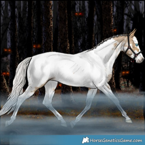 Horse Color:Gray Silver Buckskin Snowdrop Dun Splash Tobiano Appaloosa Rabicano 