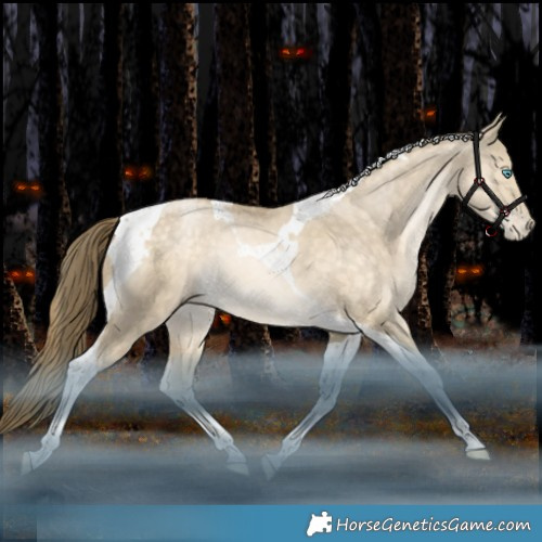 Horse Color:Bay Snowdrop Pearl Dun Tobiano Rabicano 