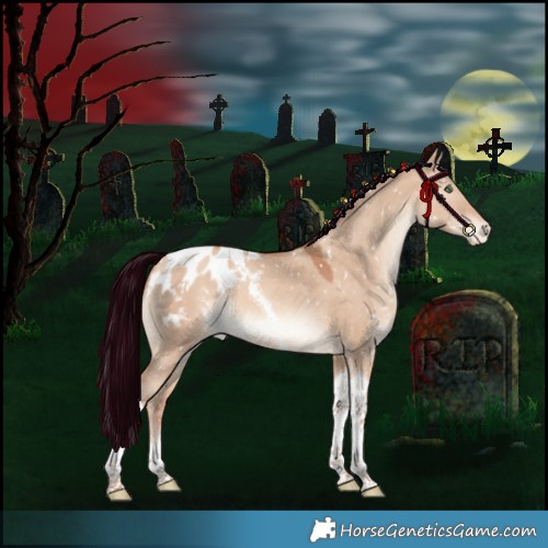 Horse Color:Silver Sable Champagne Dun Tobiano Appaloosa Rabicano 
