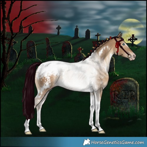 Horse Color:Gray White Spotted Amber Champagne Dun Tobiano Appaloosa Rabicano 