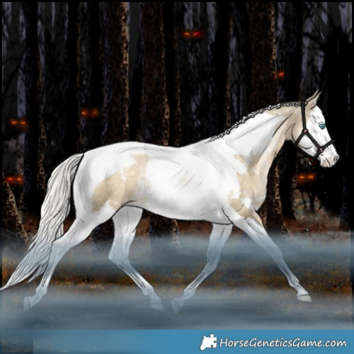 Horse Color:White Spotted Silver Brown Snowdrop Pearl Dun Splash Tobiano Appaloosa Rabicano 