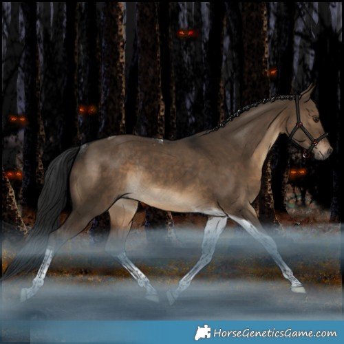 Horse Color:Gray Bay Dun Tobiano Rabicano 