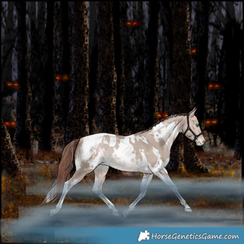 Horse Color:White Spotted Amber Champagne Dun Mushroom Tobiano Appaloosa Rabicano 