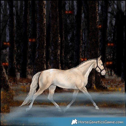 Horse Color:Gray Gold Champagne Snowdrop Pearl Dun Tobiano Appaloosa Rabicano 