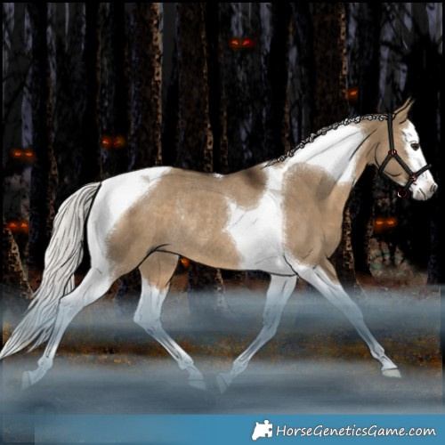 Horse Color:Gray Silver Bay Dun Splash Tobiano Rabicano 