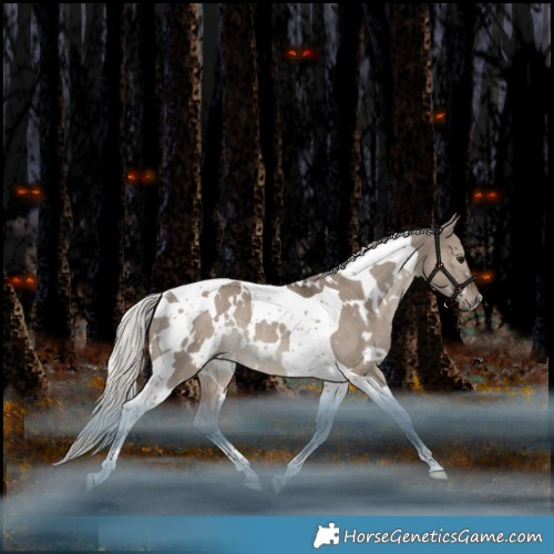 Horse Color:White Spotted Silver Grullo Mushroom Tobiano Rabicano 