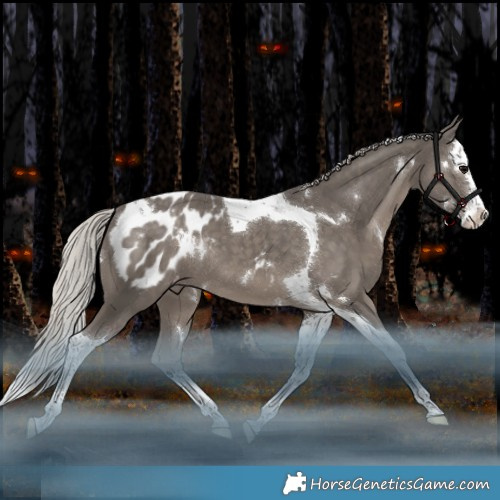Horse Color:White Spotted Silver Black Splash Tobiano Appaloosa Rabicano 