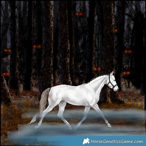 Horse Color:Gray White Spotted Bay Snowdrop Pearl Splash Tobiano Appaloosa Rabicano 