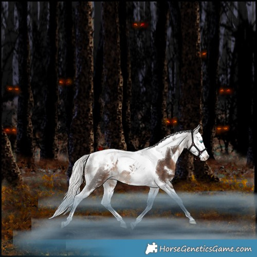 Horse Color:White Spotted Silver Brown Splash Tobiano Appaloosa Rabicano 