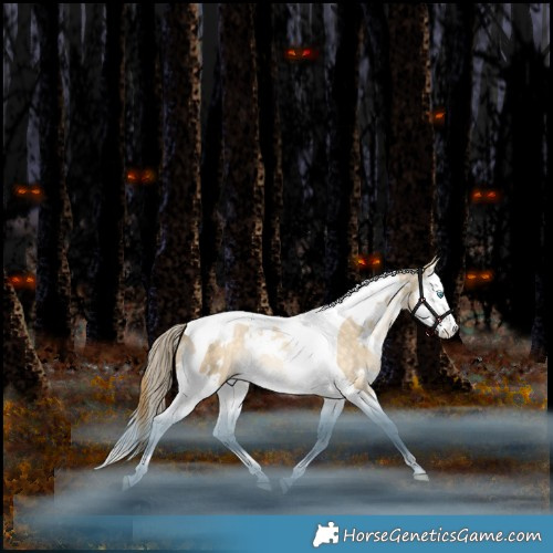 Horse Color:White Spotted Bay Snowdrop Pearl Dun Splash Tobiano Rabicano 