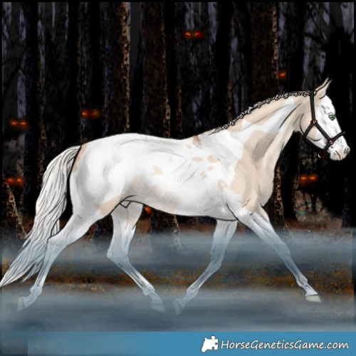 Horse Color:Silver Sable Champagne Dun Splash Tobiano Appaloosa Rabicano 