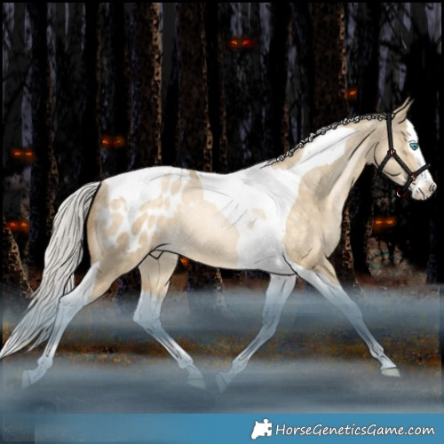 Horse Color:Silver Brown Snowdrop Dun Splash Tobiano Appaloosa Rabicano 