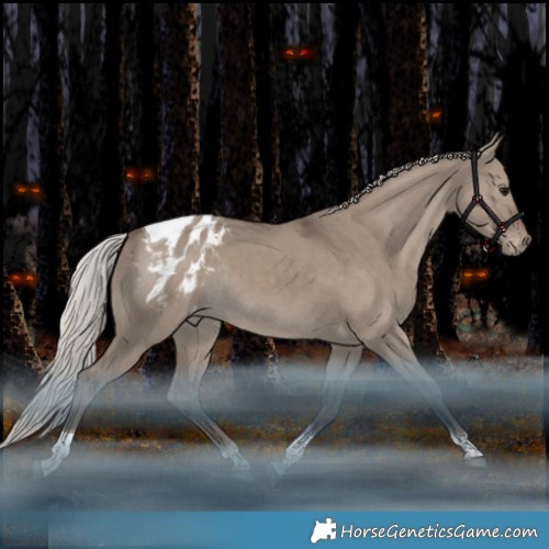 Horse Color:Silver Grullo Tobiano Appaloosa Rabicano