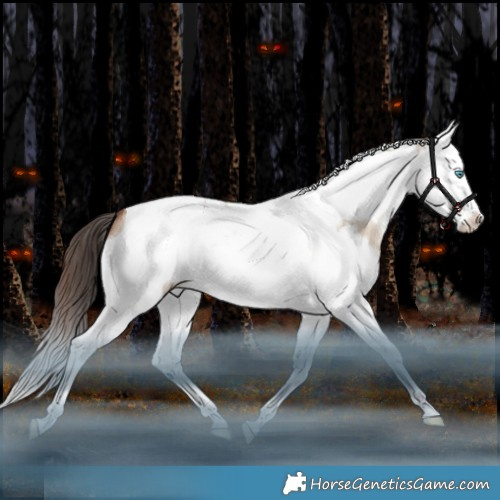 Horse Color:Amber Champagne Dun Splash Tobiano 