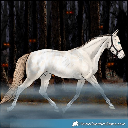 Horse Color:Sable Champagne Snowdrop Dun Tobiano Appaloosa Rabicano 