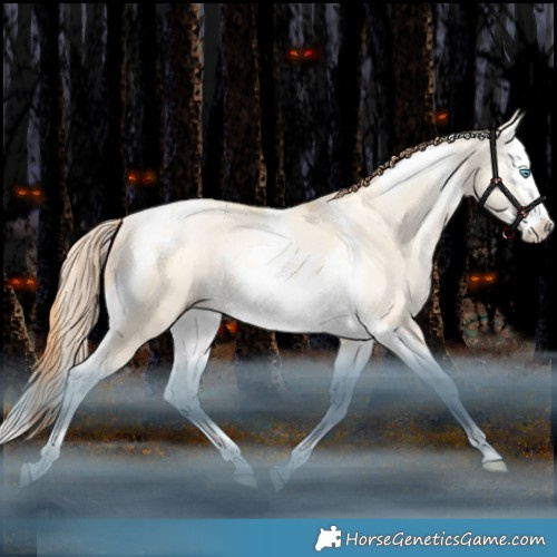 Horse Color:Classic Champagne Snowdrop Dun Splash Tobiano Rabicano 