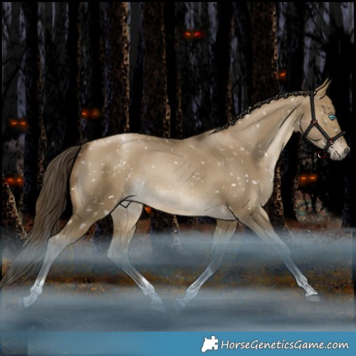 Horse Color:Gray Bay Snowdrop Pearl Dun Tobiano Appaloosa Rabicano 