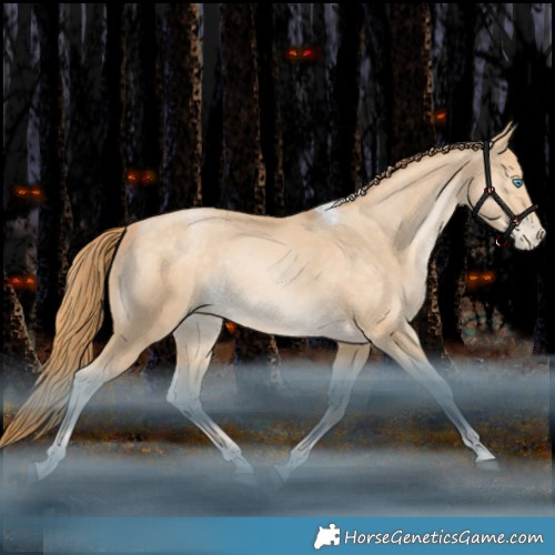 Horse Color:Bay Snowdrop Tobiano Rabicano 