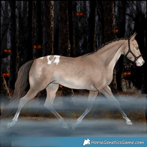 Horse Color:Amber Champagne Tobiano Appaloosa Rabicano 