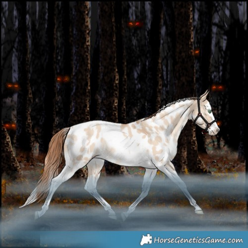 Horse Color:White Spotted Gold Champagne Dun Splash Tobiano Appaloosa Rabicano 