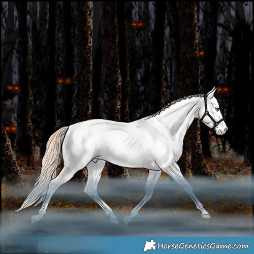 Horse Color:White Spotted Amber Champagne Snowdrop Dun Splash Tobiano Appaloosa Rabicano 