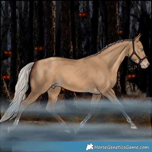 Horse Color:Gray Silver Amber Champagne Dun Tobiano Appaloosa Rabicano