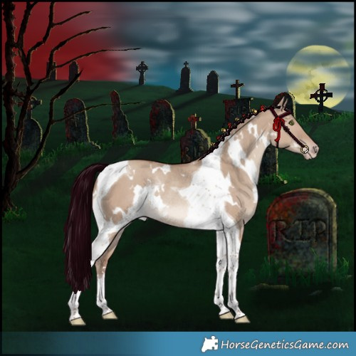 Horse Color:White Spotted Classic Champagne Dun Tobiano Rabicano 