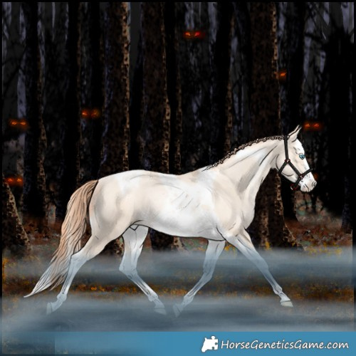 Horse Color:Amber Champagne Snowdrop Splash Tobiano Rabicano 