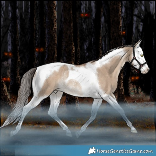 Horse Color:Liver Red Dun Splash Tobiano Appaloosa Rabicano 