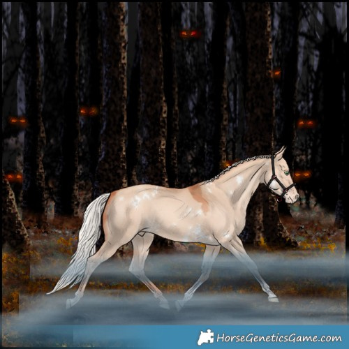 Horse Color:White Spotted Silver Amber Champagne Dun Tobiano Appaloosa Rabicano 