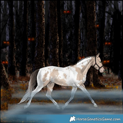 Horse Color:White Spotted Amber Champagne Dun Tobiano Rabicano 