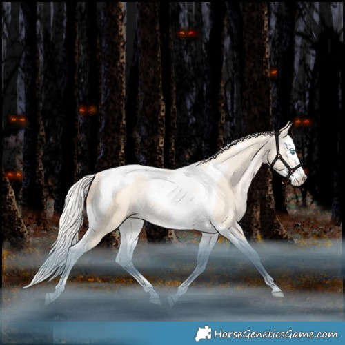 Horse Color:Silver Amber Champagne Snowdrop Pearl Dun Splash Tobiano Rabicano 