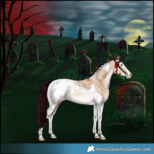 Horse Color:Silver Amber Champagne Dun Splash Tobiano Appaloosa Rabicano 