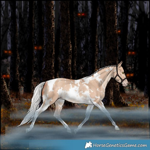 Horse Color:White Spotted Silver Amber Champagne Dun Tobiano Rabicano 