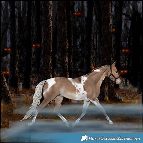 Horse Color:Silver Bay Dun Tobiano Rabicano 