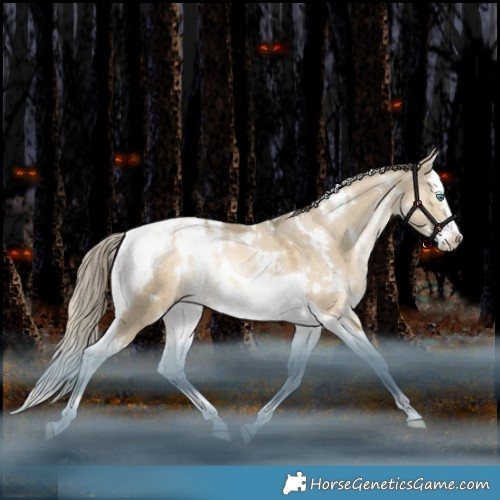 Horse Color:White Spotted Grullo Snowdrop Splash Tobiano Appaloosa Rabicano 
