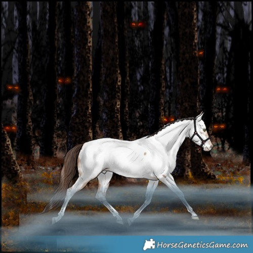 Horse Color:White Spotted Sable Champagne Dun Tobiano Appaloosa Rabicano 