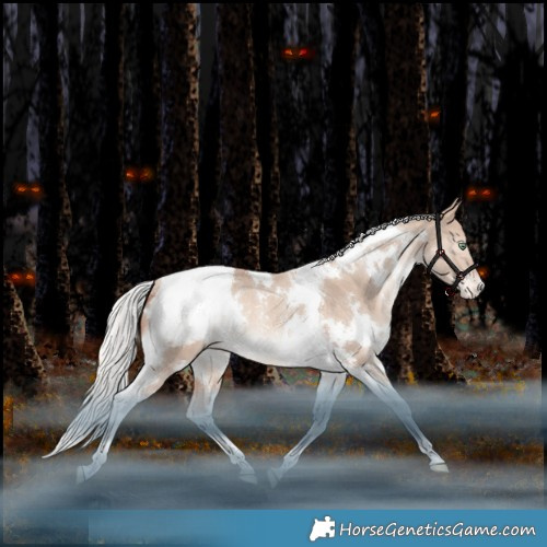 Horse Color:White Spotted Silver Amber Champagne Dun Mushroom Tobiano Appaloosa Rabicano