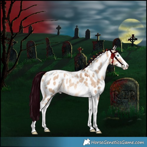 Horse Color:Silver Amber Champagne Dun Splash Tobiano Appaloosa Rabicano 