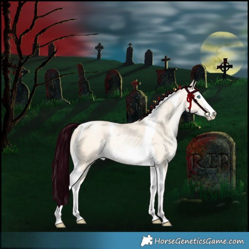 Horse Color:Silver Amber Champagne Snowdrop Pearl Dun Mushroom Splash Tobiano Appaloosa Rabicano
