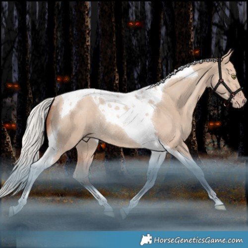 Horse Color:Silver Sable Champagne Dun Tobiano Rabicano