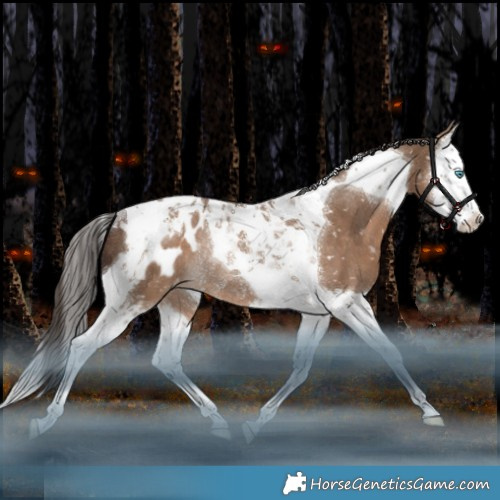 Horse Color:Liver Red Dun Splash Tobiano Appaloosa Rabicano 